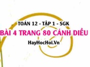 Bài 4 trang 80 Toán 12 tập 1 Cánh Diều